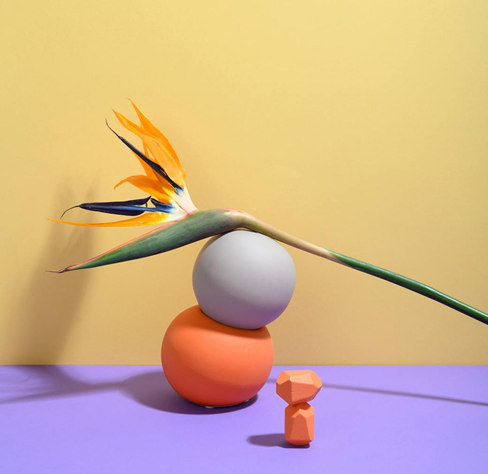 flower art yellow background, bird of paradise